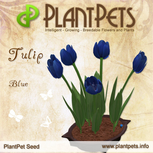 [UPDATED] PlantPet Seed [Tulip *Blue*]
