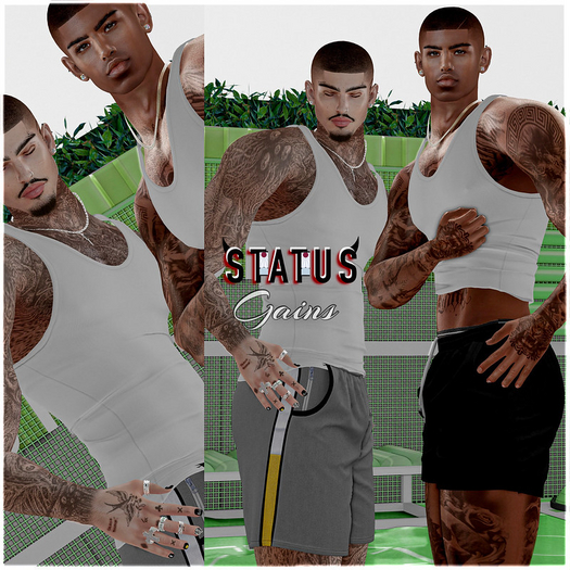 STATUS ~ Gains