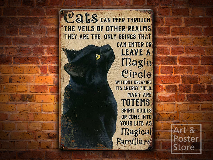 Cats | Feline Magic | Metal Style Wall Sign