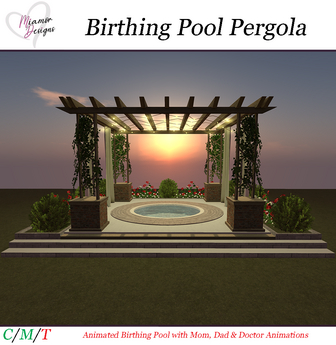 Second Life Marketplace - [MD] Birthing Pool Pergola (Boxed)
