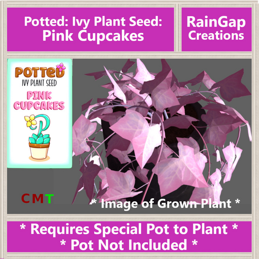 Potted: Ivy Plant Seed: Pink Cupcakes ACTUAL ITEM
