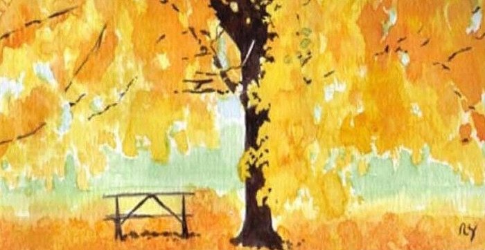 Fall Colors