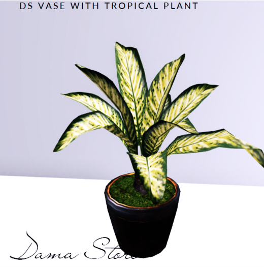 *DS Vase With Tropical Plant 