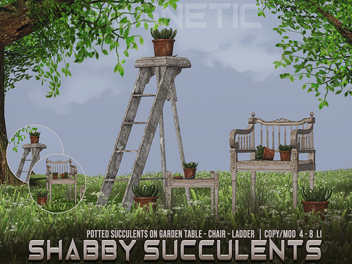 Magnetic - Shabby Succulents