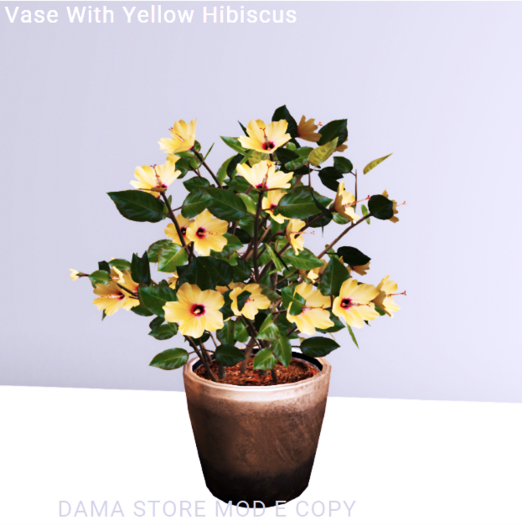 DS *Vase With Yellow Hibiscus