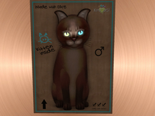 KittyCatS Box - 9T-M Abyssinian - Dark Chocolate