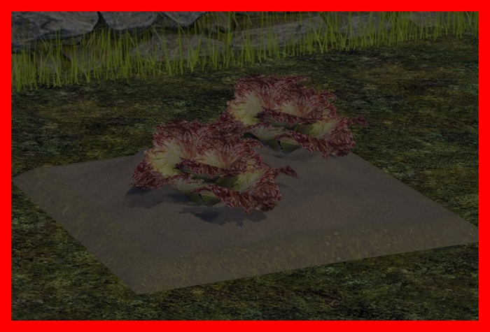 MyStory Lettuce Field (v1.5)