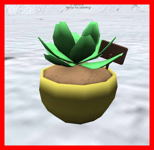 MyStory Lettuce Field (Kids v1.5) (Boxed)