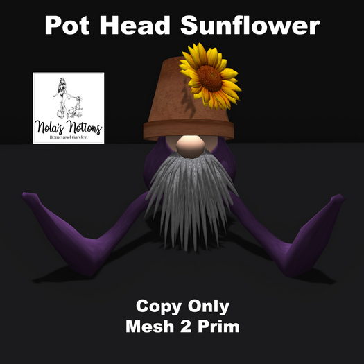 Pot Head Sunflower