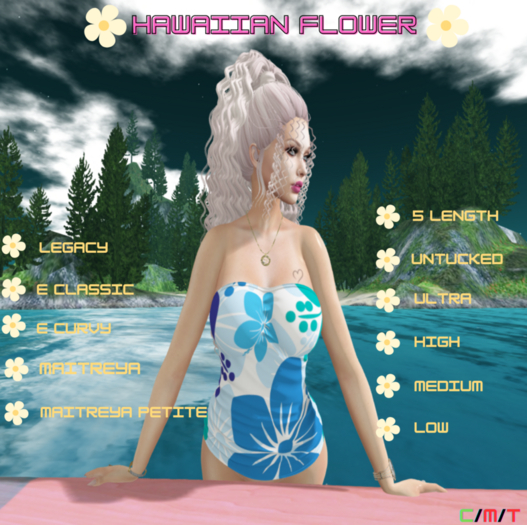 WTFW ~ HAWAIIAN FLOWER TOP -HUD