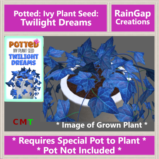 Potted: Ivy Plant Seed: Twilight Dreams ACTUAL ITEM