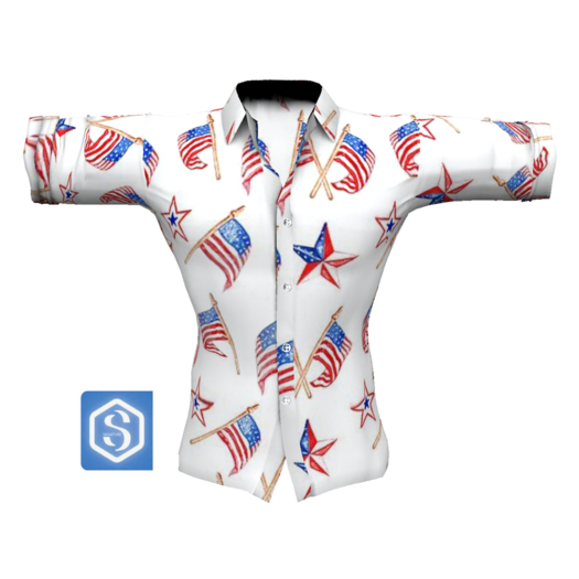 Bridgette's Closet Men's Flags and Stars Shirt