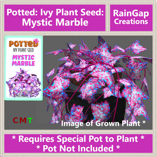 Potted: Ivy Plant Seed: Mystic Marble ACTUAL ITEM