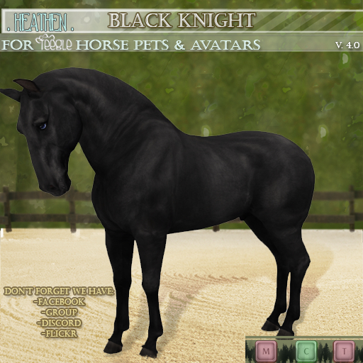 [. HEATHEN .] {Teegle HORSE coat} .Black Knight. {REZ}