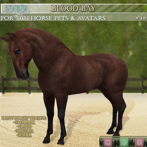 [. HEATHEN .] {Teegle HORSE coat} .Blood Bay. {REZ}