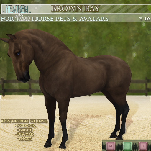 [. HEATHEN .] {Teegle HORSE coat} .Brown Bay. {REZ}