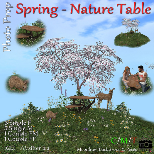 M-BdP :: Spring - Nature Table - Photoprop