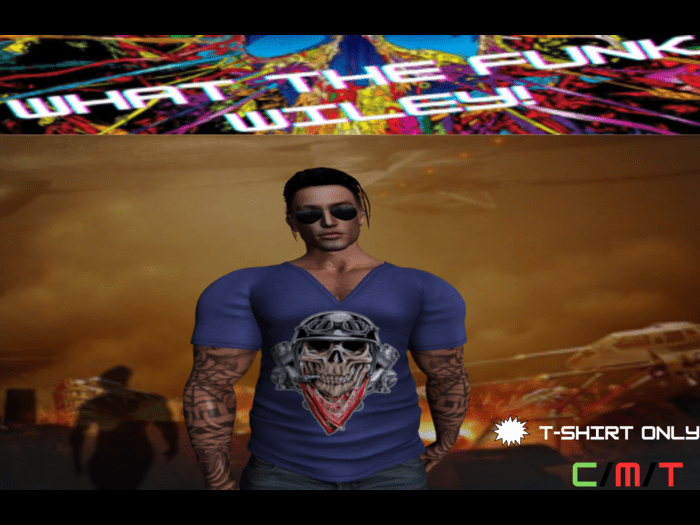 WTFW~  SKULL V NECK TEE - BLUE