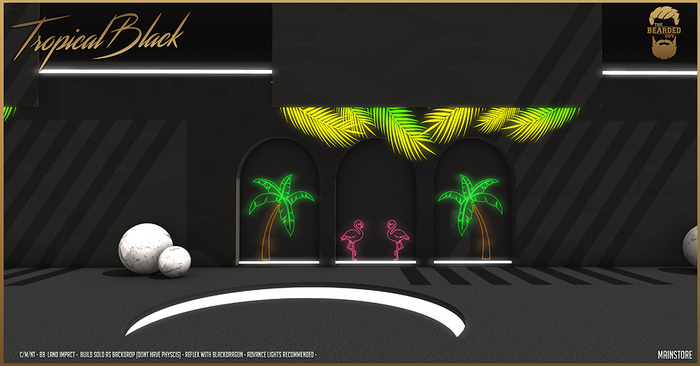 Tropical Black Backdrop - The Bearded Guy