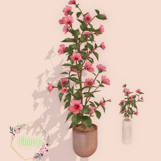 flory. - Hibiscus Set / ADD