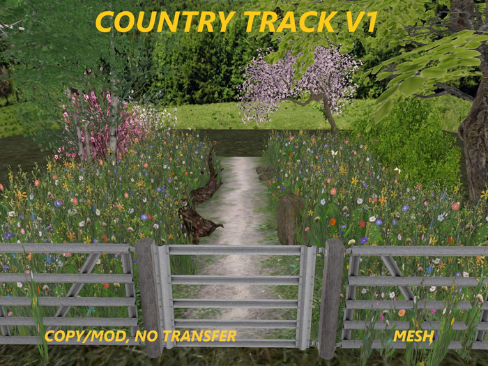 COUNTRY TRACK V1