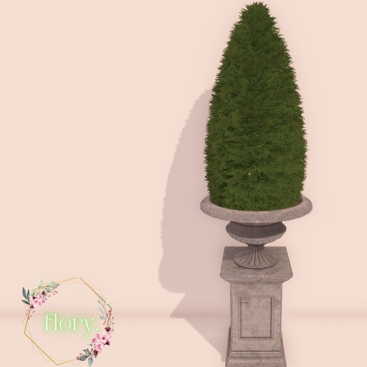 flory. - Potted Bush Cone