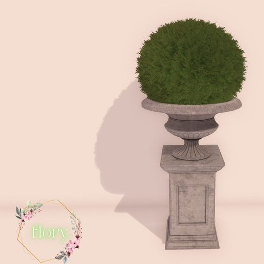 flory. - Potted Bush Round