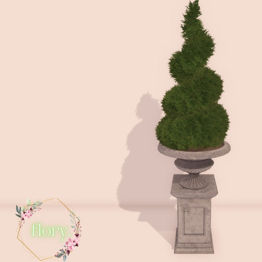 flory. - Potted Bush Spiral