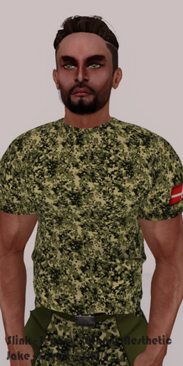 !!! Revna !!! 341 Shirt Danish Camo DEMO