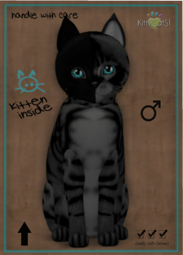 KittyCatS Box - Chimera - Charcoal Mist