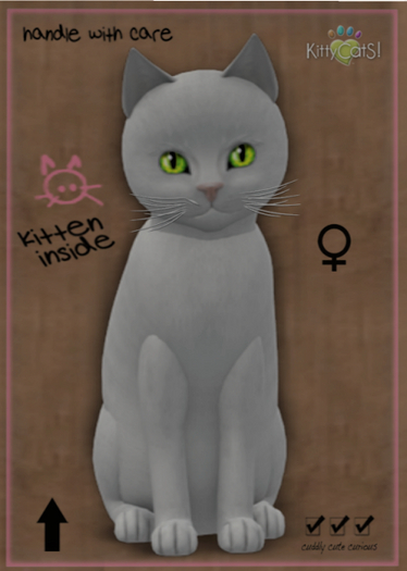 KittyCatS Box - Russian - White