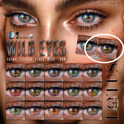 LOTUS. Wild Eyes 17 (Genus) RARE