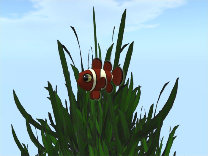 (7S) Common Fish: Maroon Clownfish