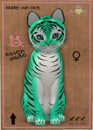KittyCatS Box - Tiger! - Seafoam