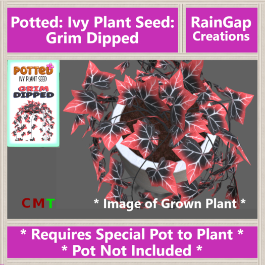 Potted: Ivy Plant Seed: Grim Dipped ACTUAL ITEM