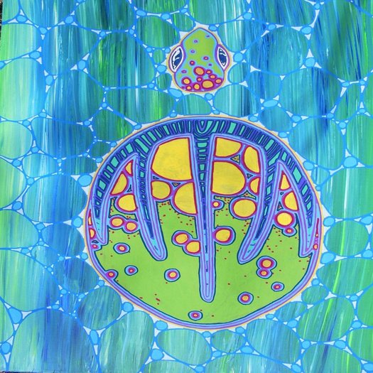 SEA TURTLE by Kar Whiteberry