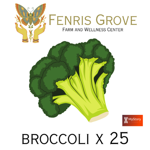 MyStory Broccoli x 25