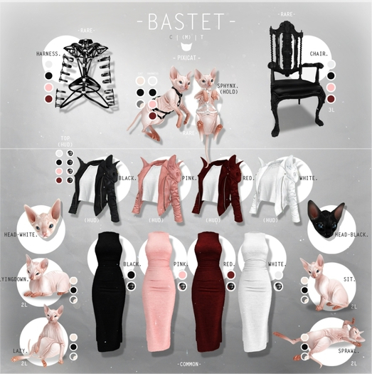 -Pixicat- Bastet.Sphynx - White (Head)