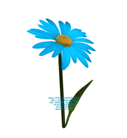 {Papillon} Plant Daisy Small