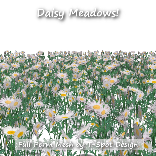 T-Spot Mesh - Daisy Meadow 2023 - FP - LI=1.0