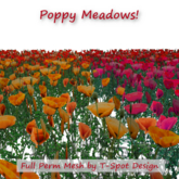 T-Spot Mesh - Poppy Meadows - FP - LI=1.0