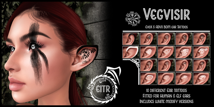 EITR - Vegvisir - Demo