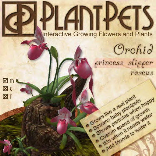 PlantPet Seed [Princess Slipper Orchid *Roseus*]
