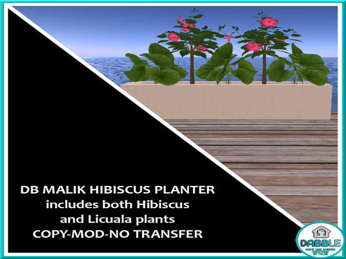 DB MALIK HIBISCUS PLANTER  ad me