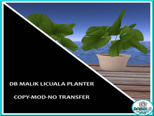 DB MALIK LICUALA PLANTER  add me