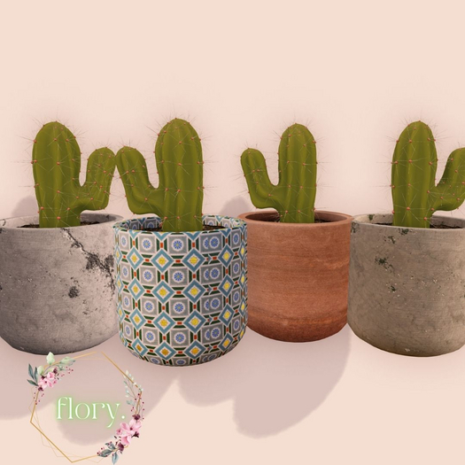 flory. - Potted Cactus Small