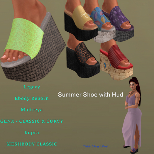 Summer Shoe 23