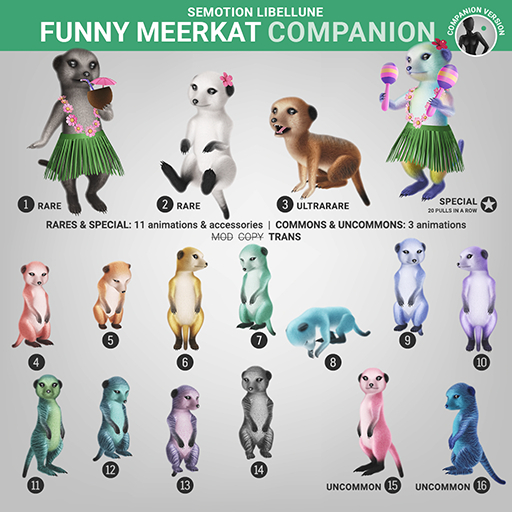 SEmotion Libellune Funny Meerkat Companion COMMON 08
