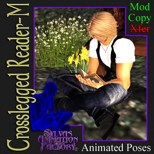Crosslegged Reader - M -- Male Sitting and Reading Animation (copyable)