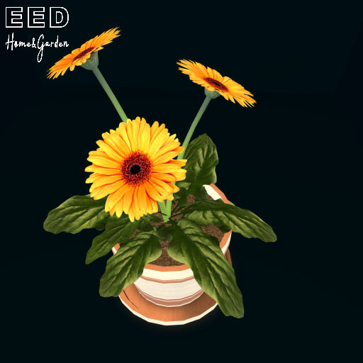 EED's TERRA POT 15 resizer c